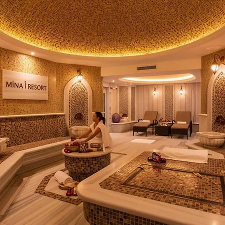 Mina I فندق